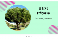 Screenshot_2020-03-08-EL-PINO-PIÑONERO