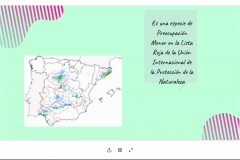 Screenshot_2020-03-08-EL-PINO-PIÑONERO3