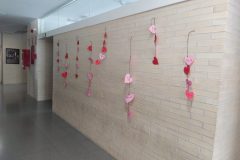 IMG_20200212_141653