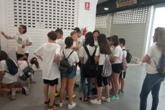 WhatsApp-Image-2019-06-03-at-11.42.47-1