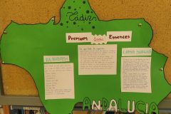 IMG_20200225_114153