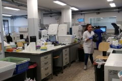 Análisis Clínicos