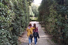 Convivencia