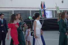 DSC00678