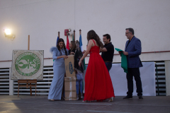 IMG_5334-59