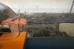 IMG-20181110-WA0007