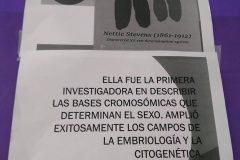 55627771_2409201142447901_2757600859251539968_n