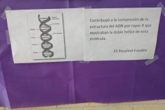 56354022_2409201319114550_6703873817917259776_n