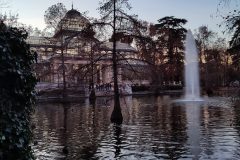 IMG_20211215_180006