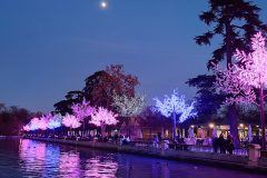 IMG_20211215_181433