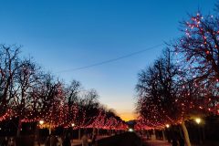 IMG_20211215_181651